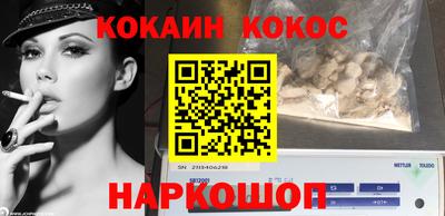 ешки Кингисепп