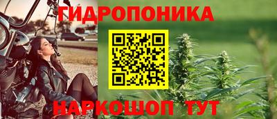 прущая мука Кимры