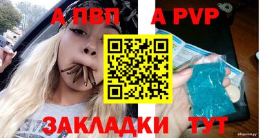 ешки Кингисепп