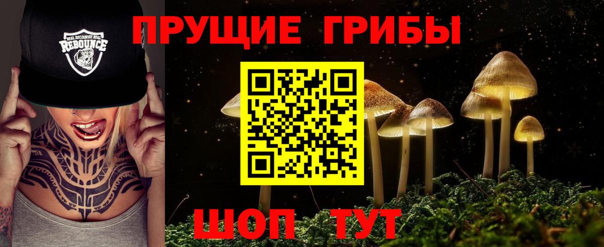 Псилоцибиновые грибы MAGIC MUSHROOMS Киселёвск