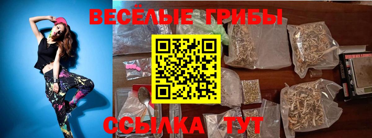 Псилоцибиновые грибы прущие грибы  Вход с VPN  Киселёвск 